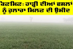 ਪੰਜਾਬ ਦੇ ਕਈ ਜ਼ਿਲ੍ਹਿਆਂ ’ਚ ਕਿਣਮਿਣ, ਹਾੜ੍ਹੀ ਦੀਆਂ ਫਸਲਾਂ ਨੂੰ ਹੁਲਾਰਾ ਮਿਲਣ ਦੀ ਉਮੀਦ