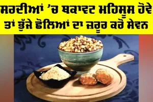 Roasted Chickpeas Benefits: ਸਰਦੀਆਂ ’ਚ ਥਕਾਵਟ ਮਹਿਸੂਸ ਹੋਵੇ ਤਾਂ ਭੁੱਜੇ ਛੋਲਿਆਂ ਦਾ ਜ਼ਰੂਰ ਕਰੋ ਸੇਵਨ