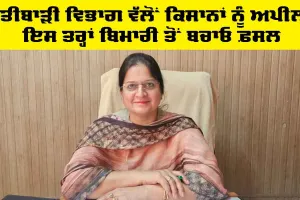 Agriculture Department Punjab: ਖੇਤੀਬਾੜੀ ਵਿਭਾਗ ਵੱਲੋਂ ਕਿਸਾਨਾਂ ਨੂੰ ਅਪੀਲ, ਇਸ ਤਰ੍ਹਾਂ ਬਿਮਾਰੀ ਤੋਂ ਬਚਾਓ ਫ਼ਸਲ