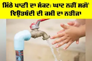 Freshwater Crisis: ਮਿੱਠੇ ਪਾਣੀ ਦਾ ਸੰਕਟ, ਘਾਟ ਨਹੀਂ ਸਗੋਂ ਵਿਉਂਤਬੰਦੀ ਦੀ ਕਮੀ ਦਾ ਨਤੀਜਾ