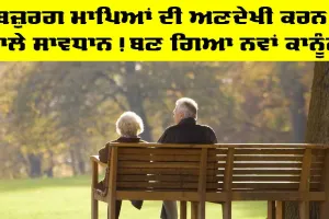 ਬਜ਼ੁਰਗ ਮਾਪਿਆਂ ਦੀ ਅਣਦੇਖੀ ਕਰਨ ਵਾਲੇ ਸਾਵਧਾਨ! ਬਣ ਗਿਆ ਨਵਾਂ ਕਾਨੂੰਨ