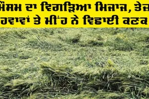 Punjab Weather Update: ਪੰਜਾਬ ’ਚ ਮੌਸਮ ਦਾ ਵਿਗੜਿਆ ਮਿਜਾਜ, ਕਿਸਾਨ ਵਰਗ ’ਤੇ ਪਿਆ ਭਾਰੀ