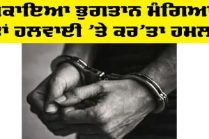 Delhi News: ਬਕਾਇਆ ਭੁਗਤਾਨ ਮੰਗਿਆ ਤਾਂ ਹਲਵਾਈ ’ਤੇ ਕਰ’ਤਾ ਹਮਲਾ