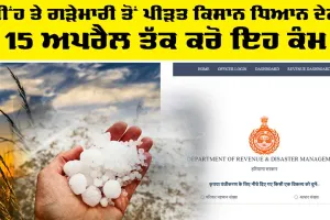 Haryana News: ਮੀਂਹ ਤੇ ਗੜੇਮਾਰੀ ਤੋਂ ਪੀੜਤ ਕਿਸਾਨ ਧਿਆਨ ਦੇਣ, 15 ਅਪਰੈਲ ਤੱਕ ਕਰੋ ਇਹ ਕੰਮ