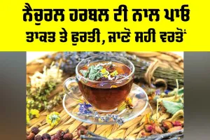 Herbal Tea Benefits: ਨੈਚੁਰਲ ਹਰਬਲ ਟੀ ਨਾਲ ਪਾਓ ਤਾਕਤ ਤੇ ਫੁਰਤੀ, ਜਾਣੋ ਸਹੀ ਵਰਤੋਂ