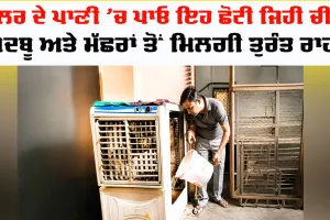 Cooler Tips: ਕੂਲਰ ਦੇ ਪਾਣੀ ’ਚ ਪਾਓ ਇਹ ਛੋਟੀ ਜਿਹੀ ਚੀਜ਼, ਬਦਬੂ ਅਤੇ ਮੱਛਰਾਂ ਤੋਂ ਮਿਲਗੀ ਰਾਹਤ