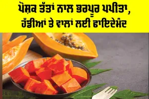 Papaya Health Benefits: ਪੋਸ਼ਕ ਤੱਤਾਂ ਨਾਲ ਭਰਪੂਰ ਪਪੀਤਾ, ਹੱਡੀਆਂ ਤੇ ਵਾਲਾਂ ਲਈ ਫਾਇਦੇਮੰਦ