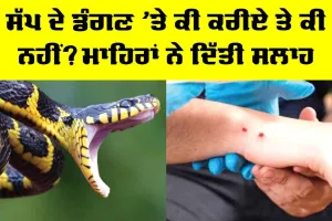 Snake Bite Treatment: ਸੱਪ ਦੇ ਡੰਗਣ ’ਤੇ ਕੀ ਕਰੀਏ ਤੇ ਕੀ ਨਹੀਂ? ਮਾਹਿਰਾਂ ਨੇ ਦਿੱਤੀ ਸਲਾਹ