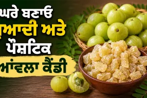 Amla Candy Recipe: ਘਰੇ ਬਣਾਓ ਸੁਆਦੀ ਅਤੇ ਪੌਸ਼ਟਿਕ ਆਂਵਲਾ ਕੈਂਡੀ