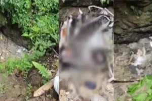 Arunachal Pradesh Road Accident: ਸੜਕ ਹਾਦਸੇ ਵਿੱਚ ਅਸਾਮ ਦੇ ਪੰਜ ਨੌਜਵਾਨਾਂ ਦੀ ਮੌਤ