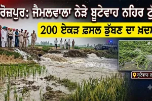 Canal Breach Ferozepur:  ਜੈਮਲਵਾਲਾ ਨੇੜੇ ਬੂਟੇਵਾਹ ਨਹਿਰ ਦੋ ਥਾਵਾਂ ਤੋਂ ਟੁੱਟੀ, ਕਰੀਬ 200 ਏਕੜ ਫ਼ਸਲ ਨੂੰ ਨੁਕਸਾਨ ਦਾ ਖ਼ਦਸ਼ਾ