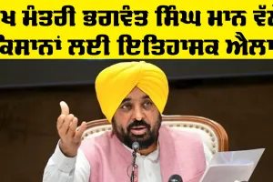 CM Punjab: ਮੁੱਖ ਮੰਤਰੀ ਭਗਵੰਤ ਸਿੰਘ ਮਾਨ ਵੱਲੋਂ ਕਿਸਾਨਾਂ ਲਈ ਇਤਿਹਾਸਕ ਐਲਾਨ