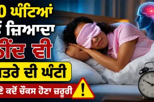 Excessive Sleep Risks: 10 ਘੰਟਿਆਂ ਤੋਂ ਜ਼ਿਆਦਾ ਨੀਂਦ ਵੀ ਖ਼ਤਰੇ ਦੀ ਘੰਟੀ, ਜਾਣੋ ਕਦੋਂ ਚੌਕਸ ਹੋਣਾ ਜ਼ਰੂਰੀ