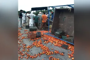 Faridkot Road Accident: ਫ਼ਰੀਦਕੋਟ ’ਚ ਦਰਦਨਾਕ ਹਾਦਸਾ, ਕਿਸਾਨ ਦੀ ਮੌਤ