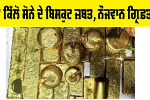 Gold News: 37 ਕਿਲੋ ਸੋਨੇ ਦੇ ਬਿਸਕੁਟ ਜ਼ਬਤ, ਨੌਜਵਾਨ ਗ੍ਰਿਫ਼ਤਾਰ