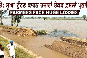 Jaito Canal Breach: ਸੂਆ ਟੁੱਟਣ ਕਾਰਨ ਹਜ਼ਾਰਾਂ ਏਕੜ ਫ਼ਸਲਾਂ ਪ੍ਰਭਾਵਿਤ