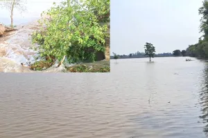Kotkapura Canal Breach: ਕੋਟਕਪੂਰਾ ਦੇ ਪਿੰਡ ਠਾੜਾ ਨੇੜੇ ਰਜਵਾਹਾ ਮੁੜ ਟੁੱਟਿਆ, 60-70 ਏਕੜ ਫਸਲ ਡੁੱਬੀ
