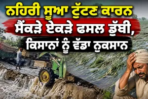 Ludhiana News: ਨਹਿਰੀ ਸੂਆ ਟੁੱਟਣ ਕਾਰਨ ਸੈਂਕੜੇ ਏਕੜੇ ਫਸਲ ਡੁੱਬੀ, ਕਿਸਾਨਾਂ ਨੂੰ ਵੱਡਾ ਨੁਕਸਾਨ