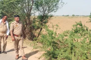 Road Accident: ਤੇਜ਼ ਰਫ਼ਤਾਰ ਟਰੈਕਟਰ ਖੱਡ ’ਚ ਪਲਟਿਆ, ਡਰਾਈਵਰ ਦੀ ਮੌਤ