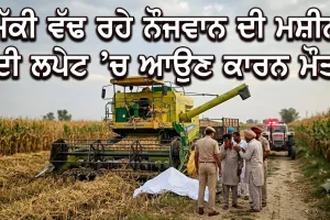 Tragic Demise: ਮੱਕੀ ਵੱਢ ਰਹੇ ਨੌਜਵਾਨ ਦੀ ਮਸ਼ੀਨ ਦੀ ਲਪੇਟ ’ਚ ਆਉਣ ਕਾਰਨ ਮੌਤ