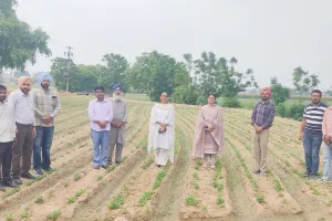 Agriculture News: ਕਿਸਾਨ ਤੇਲ ਬੀਜ ਵਾਲੀਆਂ ਫਸਲਾਂ ਬੀਜਣ ਨੂੰ ਦੇਣ ਤਰਜ਼ੀਹ