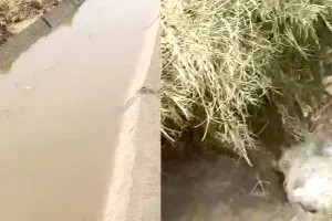 Canal Breach News: ਪਹਿਲੇ ਹੀ ਨਹਿਰੀ ਪਾਣੀ ਦੇ ਦਬਾਅ ਅੱਗੇ ਨਾ ਟਿਕ ਸਕਿਆ ਰੋਹੀੜਾ ਮਾਈਨਰ ਰਜਵਾਹਾ