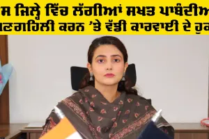 Punjab News: ਇਸ ਜਿਲ੍ਹੇ ਵਿੱਚ ਲੱਗੀਆਂ ਸਖਤ ਪਾਬੰਦੀਆਂ, ਅਣਗਹਿਲੀ ਕਰਨ 'ਤੇ ਵੱਡੀ ਕਾਰਵਾਈ ਦੇ ਹੁਕਮ