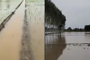 Weather Update Punjab: ਮੀਂਹ ਨਾਲ ਗਰਮੀ ਤੋਂ ਰਾਹਤ, ਫਸਲਾਂ ਤੇ ਆਮ ਜਨ ਦੇ ਚਿਹਰੇ ਖਿੜੇ