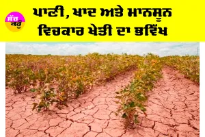 Agriculture News: ਪਾਣੀ, ਖਾਦ ਤੇ ਮਾਨਸੂਨ ਵਿਚਕਾਰ ਖੇਤੀ ਦਾ ਭਵਿੱਖ