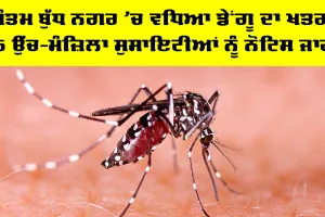 Dengue Cases Noida: ਗੌਤਮ ਬੁੱਧ ਨਗਰ ’ਚ ਵਧਿਆ ਡੇਂਗੂ ਦਾ ਖਤਰਾ, 15 ਉੱਚ-ਮੰਜ਼ਿਲਾ ਸੁਸਾਇਟੀਆਂ ਨੂੰ ਨੋਟਿਸ ਜਾਰੀ