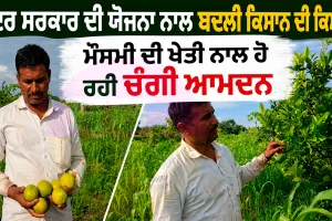 Farmer Success Story: ਕੇਂਦਰ ਸਰਕਾਰ ਦੀ ਯੋਜਨਾ ਨਾਲ ਬਦਲੀ ਕਿਸਾਨ ਦੀ ਕਿਸਮਤ, ਮੌਸਮੀ ਦੀ ਖੇਤੀ ਨਾਲ ਹੋ ਰਹੀ ਚੰਗੀ ਆਮਦਨ