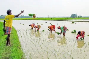 India Monsoon : ਭਾਰਤ ਦੇ ਮਾਨਸੂਨ ’ਚ ਸੁਧਾਰ, ਸਾਉਣੀ ਦੀਆਂ ਫਸਲਾਂ ਨੂੰ ਨੁਕਸਾਨ ਹੋਣ ਦਾ ਡਰ ਘੱਟ : ਰਿਪੋਰਟ