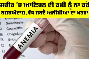 Iron Deficiency: ਸਰੀਰ ’ਚ ਆਇਰਨ ਦੀ ਕਮੀ ਨੂੰ ਨਾ ਕਰੋ ਨਜ਼ਰਅੰਦਾਜ਼, ਵੱਧ ਸਕਦੈ ਅਨੀਮੀਆ ਦਾ ਖਤਰਾ
