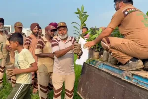 Moga Tree Plantation: ਮੋਗਾ ਜ਼ਿਲ੍ਹੇ ਦੀ ਸਾਧ-ਸੰਗਤ ਨੇ ਲਾਏ 14300 ਪੌਦੇ