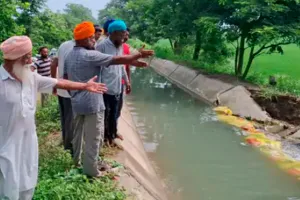 Patiala News: ਪਟਿਆਲਾ ਦੇ ਸੁਨਿਆਰਹੇੜੀ ’ਚ ਸਨੌਰ ਸੂਆ ਟੁੱਟਣ ਨਾਲ 100 ਏਕੜ ਝੋਨੇ ਦੀ ਫਸਲ ਪਾਣੀ ’ਚ ਡੁੱਬੀ
