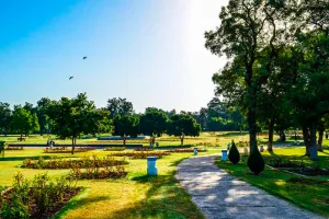 Punjab Weather: ਪੰਜਾਬ ਦੇ 4 ਜ਼ਿਲ੍ਹਿਆਂ ’ਚ ਭਾਰੀ ਮੀਂਹ ਦਾ ਅਲਰਟ, ਕਈ ਥਾਵਾਂ ’ਤੇ ਬਿਜਲੀ ਡਿੱਗਣ ਦੀ ਸੰਭਾਵਨਾ