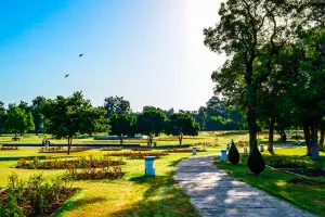 Punjab Weather: ਪੰਜਾਬ ਤੇ ਚੰਡੀਗੜ੍ਹ ’ਚ ਮਾਨਸੂਨ ਕਮਜ਼ੋਰ, 9 ਜ਼ਿਲ੍ਹਿਆਂ ’ਚ ਅੱਜ ਹਲਕੀ ਤੋਂ ਦਰਮਿਆਨੀ ਬਾਰਿਸ਼ ਦੀ ਸੰਭਾਵਨਾ