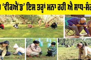 Welfare Work: ਵਾਤਾਵਰਨ ਨੂੰ ਸਾਫ-ਸੁਥਰਾ ਰੱਖਣ ਦਾ ਸੰਕਲਪ ਲੜੀ ’ਚ ਪਰਥ ’ਚ ਸਾਧ-ਸੰਗਤ ਨੇ ਲਾਏ 3000 ਬੂਟੇ