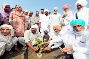Welfare Work: ਸੱਚਖੰਡ ਵਾਸੀ ਅਮਰਜੀਤ ਕੌਰ ਇੰਸਾਂ ਦੀ ਯਾਦ ’ਚ ਲਾਇਆ ਬੂਟਾ