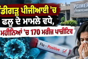 Chandigarh PGI Flu Cases: ਚੰਡੀਗੜ੍ਹ ਪੀਜੀਆਈ ’ਚ ਫਲੂ ਦੇ ਮਾਮਲੇ ਵਧੇ, 8 ਮਹੀਨਿਆਂ ’ਚ 170 ਮਰੀਜ਼ ਪਾਜ਼ੀਟਿਵ