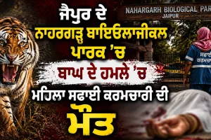 Jaipur Tiger Attack: ਜੈਪੁਰ ਦੇ ਨਾਹਰਗੜ੍ਹ ਬਾਇਓਲਾਜੀਕਲ ਪਾਰਕ ’ਚ ਬਾਘ ਦੇ ਹਮਲੇ ’ਚ ਮਹਿਲਾ ਸਫਾਈ ਕਰਮਚਾਰੀ ਦੀ ਮੌਤ 