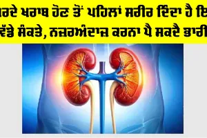 Kidney Disease Symptoms: ਗੁਰਦੇ ਖਰਾਬ ਹੋਣ ਤੋਂ ਪਹਿਲਾਂ ਸਰੀਰ ਦਿੰਦਾ ਹੈ ਇਹ ਵੱਡੇ ਸੰਕਤੇ, ਨਜ਼ਰਅੰਦਾਜ਼ ਕਰਨਾ ਪੈ ਸਕਦੈ ਭਾਰੀ