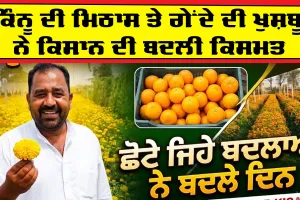 Success Farmer Story: ਕਿੰਨੂ ਦੀ ਮਿਠਾਸ ਤੇ ਗੇਂਦੇ ਦੀ ਖੁਸ਼ਬੂ ਨੇ ਕਿਸਾਨ ਦੀ ਬਦਲੀ ਕਿਸਮਤ, ਛੋਟੇ ਜਿਹੇ ਬਦਲਾਅ ਨੇ ਬਦਲੇ ਦਿਨ