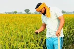 Kisan News: ਦੁੱਨੇਵਾਲਾ ਦਾ ਸੁਖਰਾਜ ਸਿੰਘ 21 ਏਕੜ ਰਕਬੇ ’ਚ ਝੋਨੇ ਦੀ ਪਰਾਲੀ ਦੀ ਬਿਨਾਂ ਅੱਗ ਲਾਏ ਕਰ ਰਿਹਾ ਹੈ ਸੰਭਾਲ