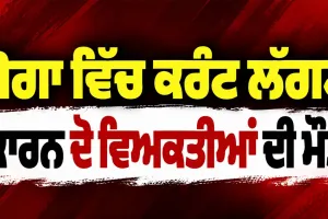 Moga News: ਮੋਗਾ ’ਚ ਕਰੰਟ ਲੱਗਣ ਕਾਰਨ ਦੋ ਵਿਅਕਤੀਆਂ ਦੀ ਮੌਤ