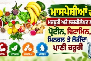 Muscle Strength: ਮਾਸਪੇਸ਼ੀਆਂ ਦੀ ਮਜ਼ਬੂਤੀ ਅਤੇ ਲਚਕੀਲੇਪਣ ਲਈ ਪ੍ਰੋਟੀਨ, ਵਿਟਾਮਿਨ, ਮਿਨਰਲ ਤੇ ਲੋੜੀਂਦਾ ਪਾਣੀ ਜ਼ਰੂਰੀ