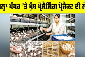 Mushroom Processing Project: ਜ਼ਿਲ੍ਹਾ ਪੱਧਰ ’ਤੇ ਖੁੰਬ ਪ੍ਰੋਸੈਸਿੰਗ ਪ੍ਰੋਜੈਕਟ ਦੀ ਲੋੜ