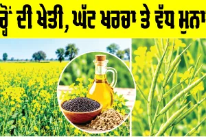Mustard Farming: ਸਰ੍ਹੋਂ ਦੀ ਖੇਤੀ, ਘੱਟ ਖਰਚਾ ਤੇ ਵੱਧ ਮੁਨਾਫਾ