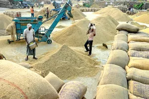 Paddy Procurement Punjab: ਝੋਨੇ ਦੀ ਖ਼ਰੀਦ ਲਈ 42,786 ਕਰੋੜ ਰੁਪਏ ਦੀ ਸੀਸੀਐੱਲ ਮਨਜ਼ੂਰ
