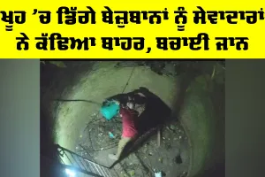 Sunam News: ਖੂਹ ’ਚ ਡਿੱਗੇ ਬੇਜ਼ੁਬਾਨਾਂ ਨੂੰ ਸੇਵਾਦਾਰਾਂ ਨੇ ਕੱਢਿਆ ਬਾਹਰ, ਬਚਾਈ ਜਾਨ